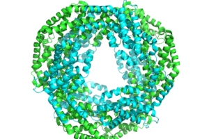 Cancer hates Phycocyanin