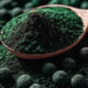 Nutritional Damage from High-Temperature Spray Drying Processing of Spirulina